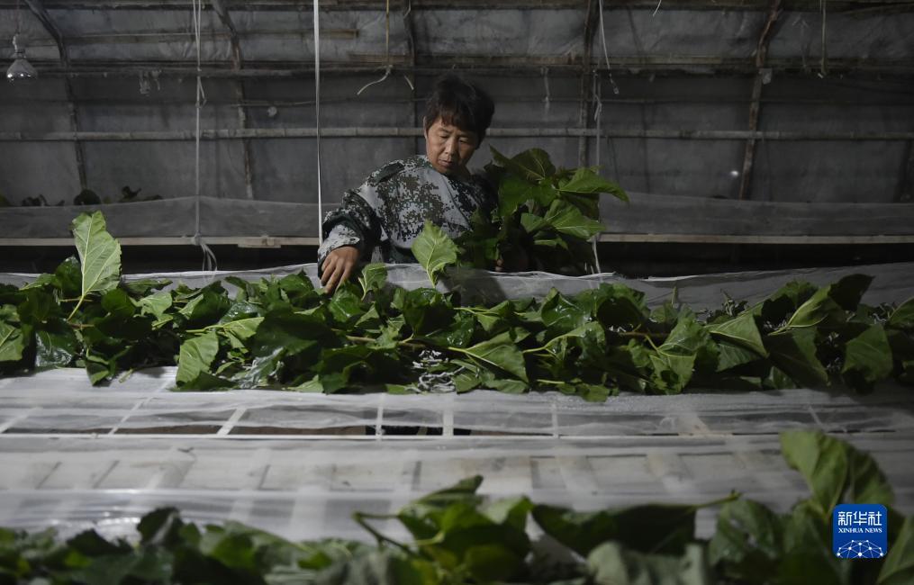 威尼斯电子游戏下载平台
